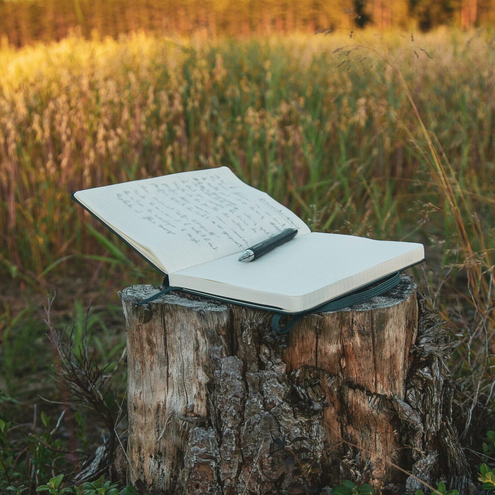 writing inspiration, book on a field